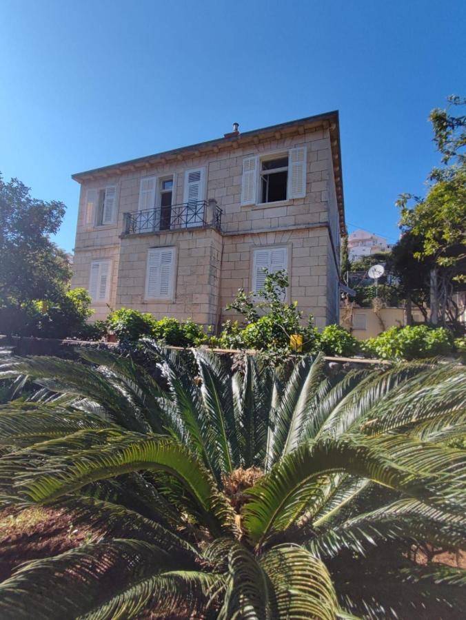 Villa Arancia Dubrovnik Exteriör bild