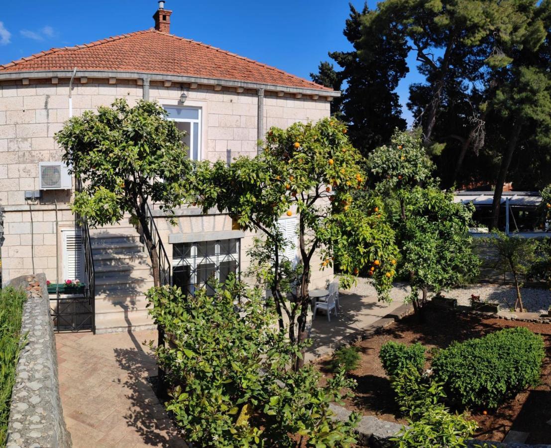 Villa Arancia Dubrovnik Exteriör bild