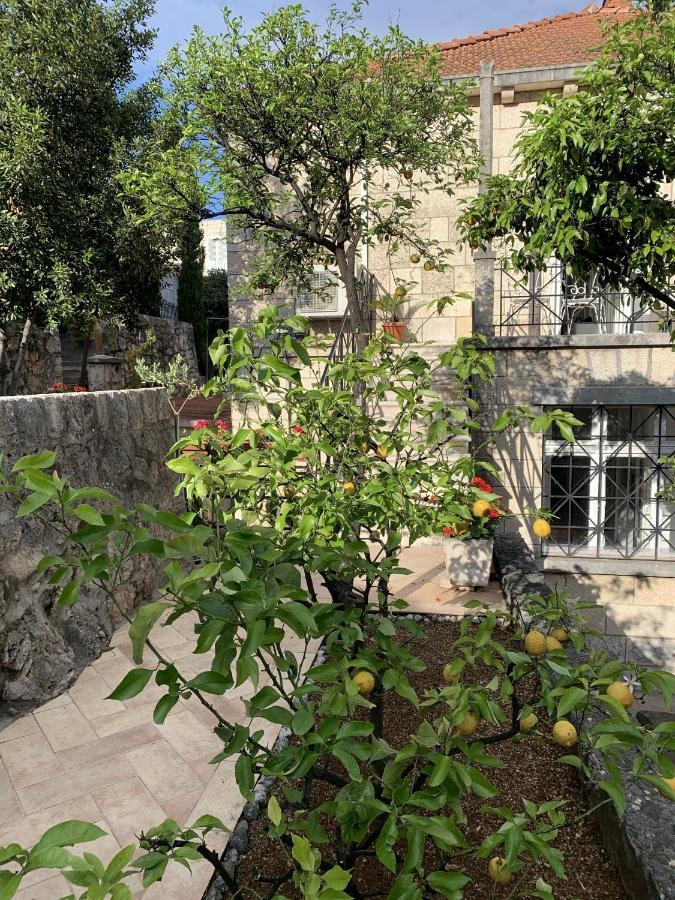 Villa Arancia Dubrovnik Exteriör bild
